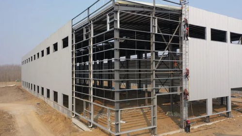 優質服務助推工業強鎮發展，招大引強積蓄新動能