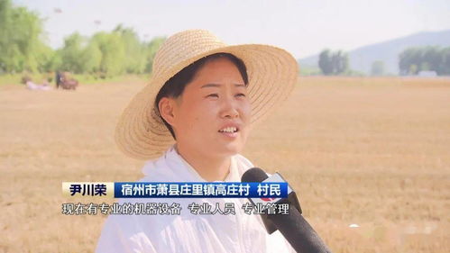 安徽 農(nóng)機(jī)社會化服務(wù)助力夏收提速提質(zhì)，技術(shù)推廣是關(guān)鍵